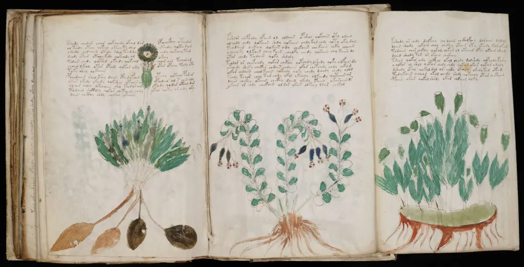 The Lourdes Code manuscript